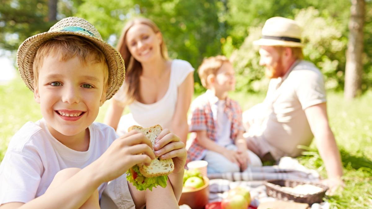 Family Picnic